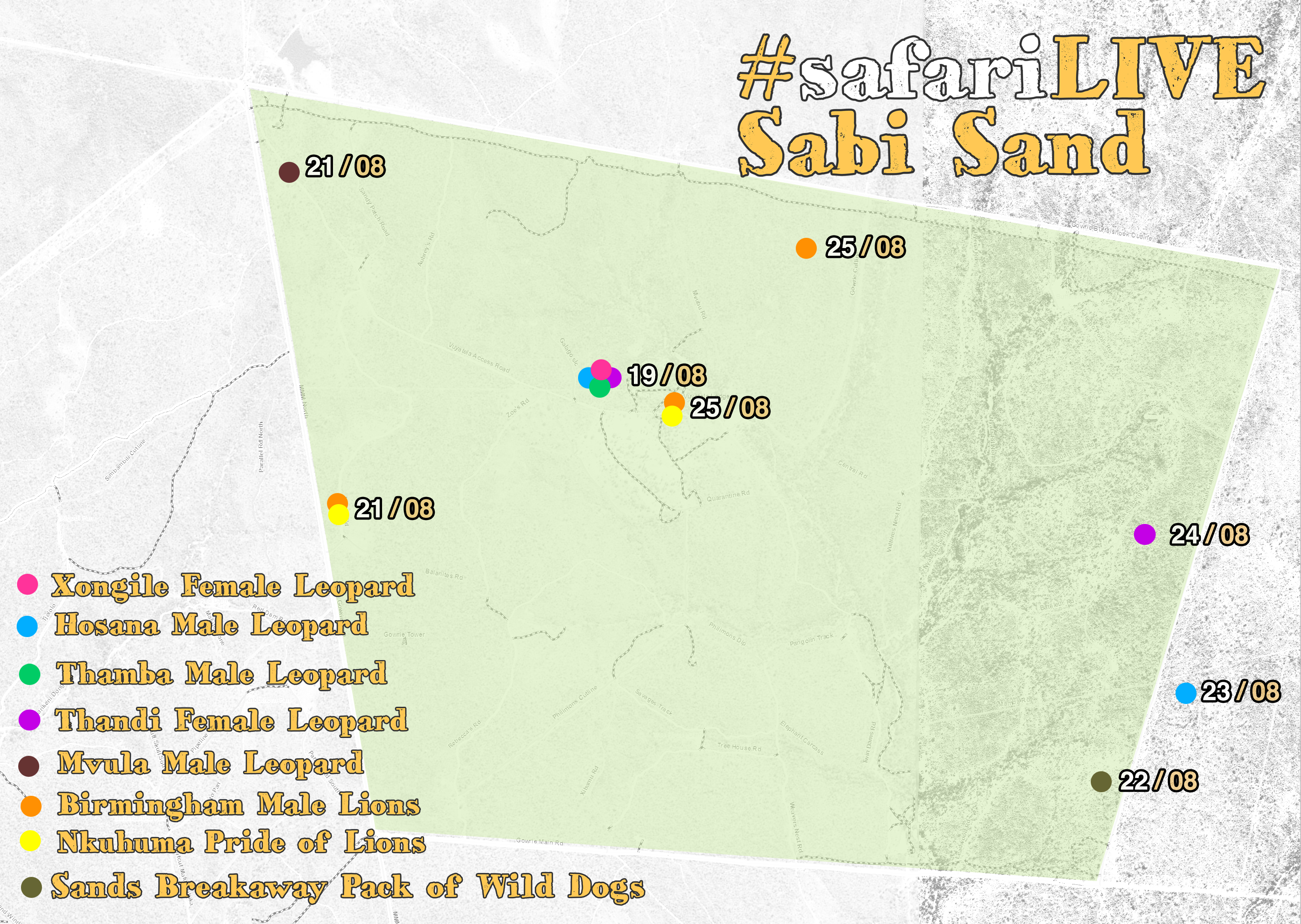 Sabi Sand cat location map