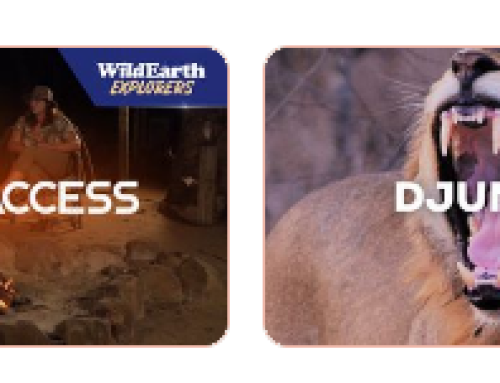 WildEarth launches a new and much improved version of its app