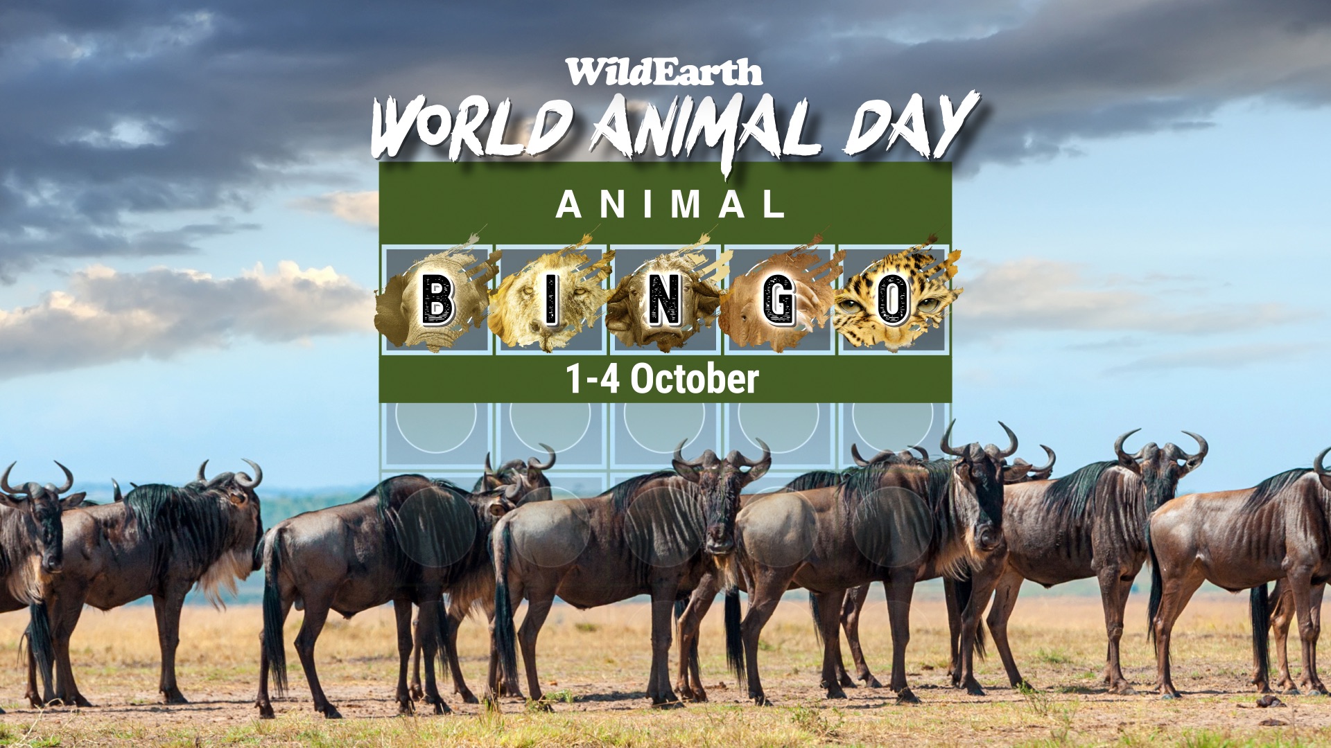 Animal Bingo – WildEarth